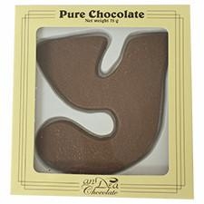 Milk Chocolate Letter &quot;Y&quot;